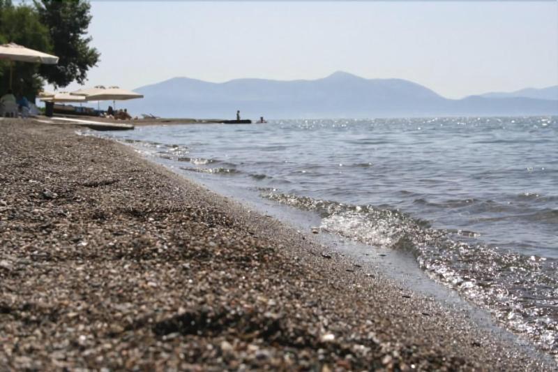 Posidonia Pension อมารินโธส ภายนอก รูปภาพ