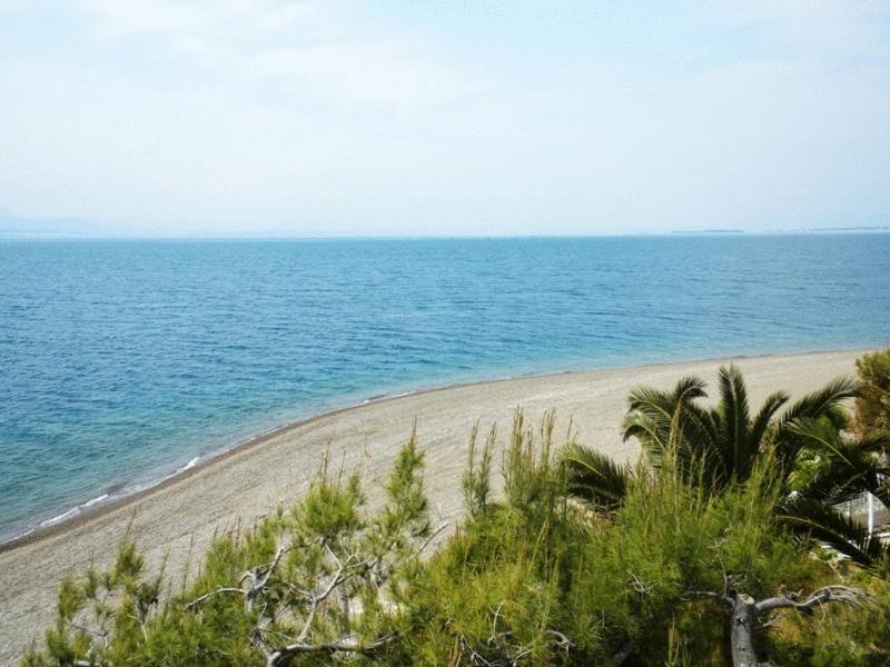 Posidonia Pension อมารินโธส ภายนอก รูปภาพ