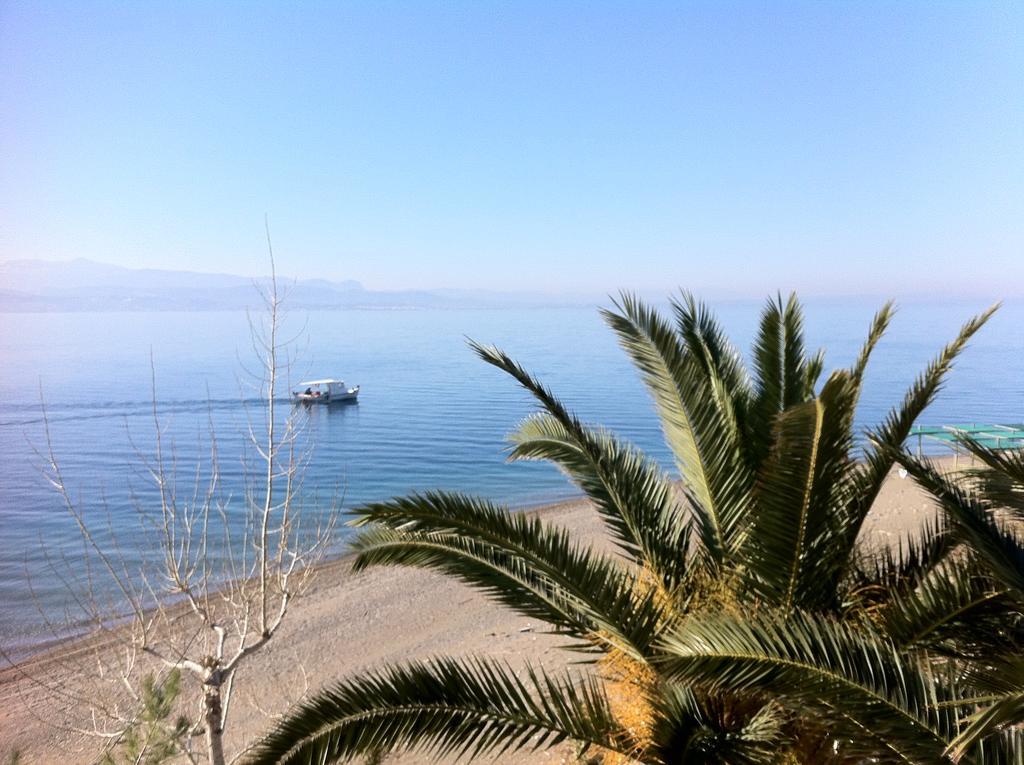 Posidonia Pension อมารินโธส ภายนอก รูปภาพ