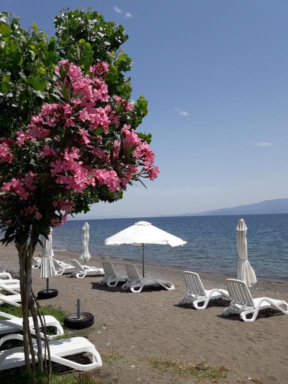 Posidonia Pension อมารินโธส ภายนอก รูปภาพ